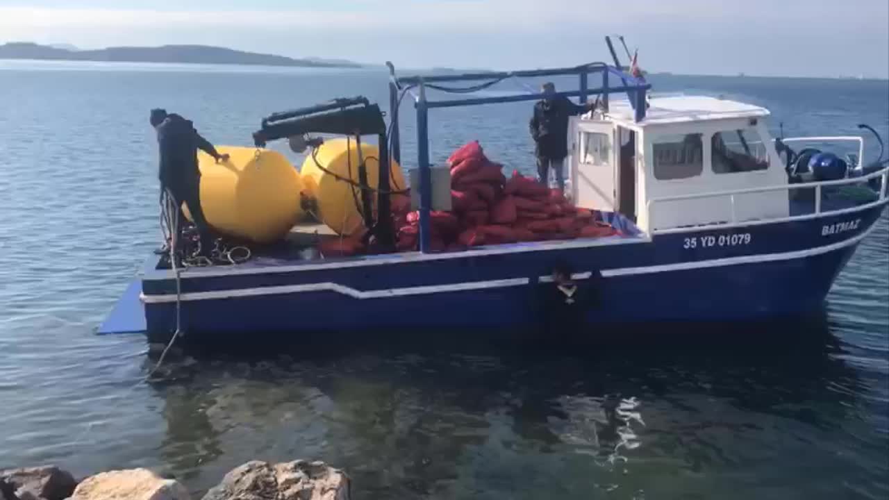 İZMİR'DE KAÇAK AVLANAN 2 TON CANLI BEYAZ MİDYE DENİZE BIRAKILDI