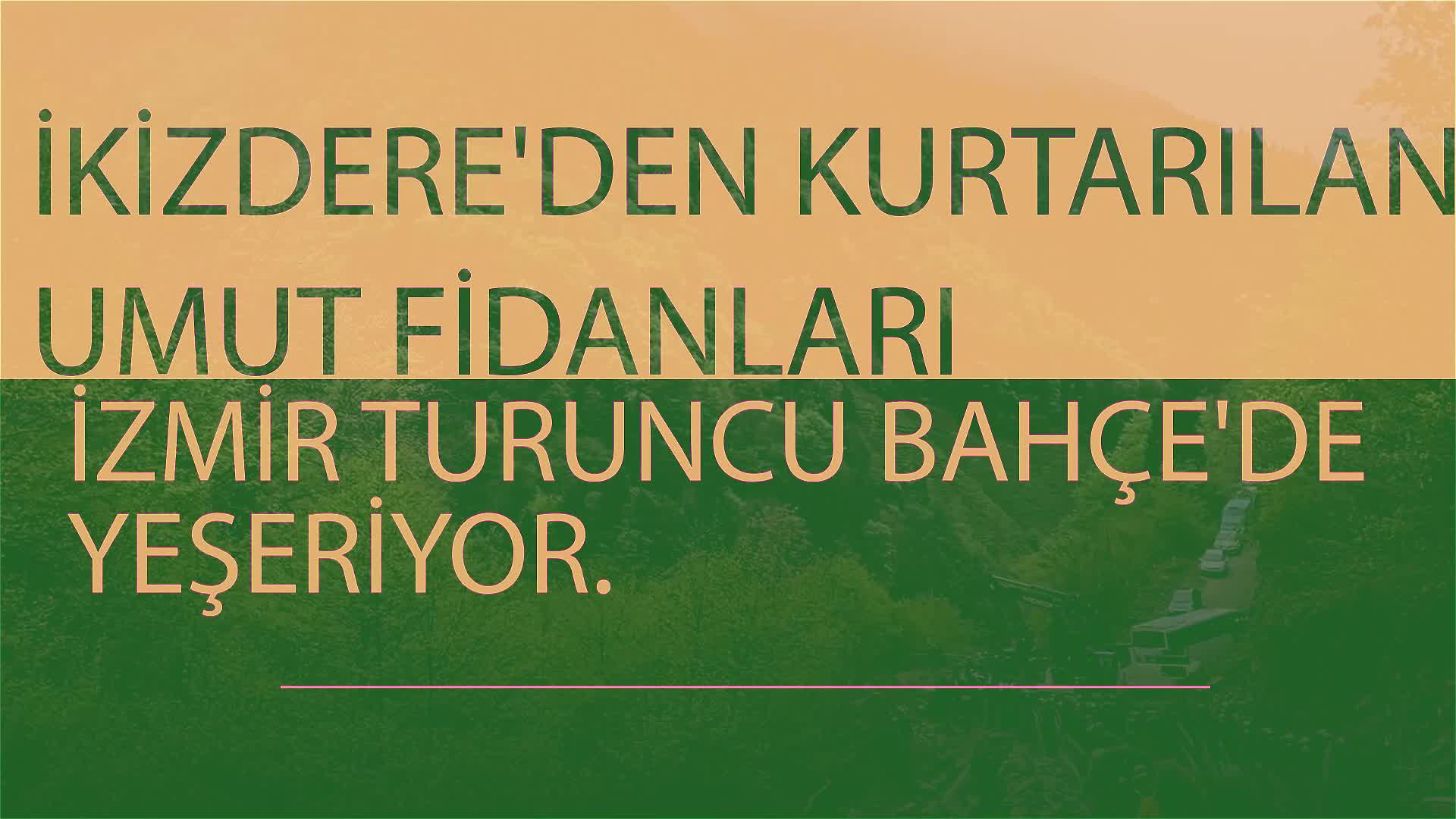 İKİZDERE'DEN KURTARILAN UMUT FİDANLARI, İZMİR'DEKİ TURUNCU BAHÇE'DE YEŞERECEK