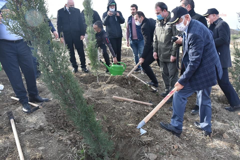 ARSUZ'DA YANAN ORMANLAR, DİKİLEN FİDANLARLA YENİDEN YEŞERİYOR