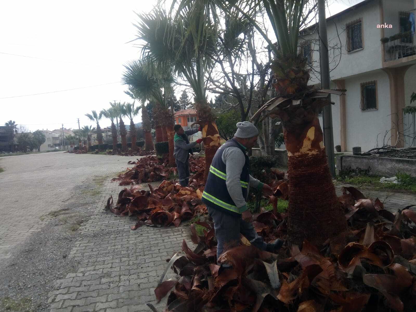 BURHANİYE'NİN PARK VE BAHÇELERİ YENİLENİYOR