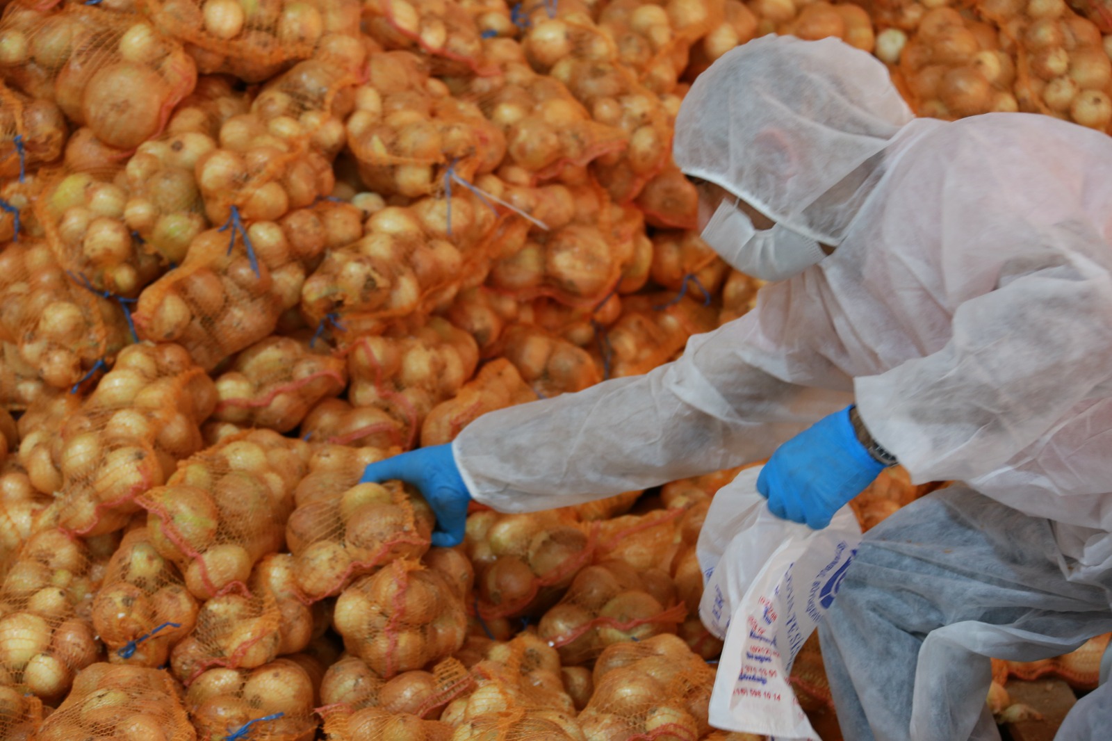 İSTANBULLUYA SOĞAN VE PATATES  ADANA’DAN