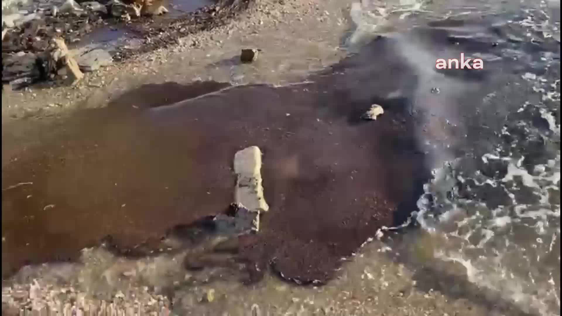 BODRUM'DA DENİZDEN GELEN KÜL, SAHİLDE BİRİKTİ