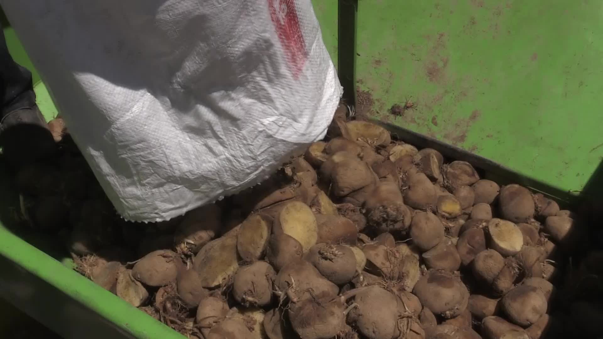 FAYDALI BÖCEK ÜRETİMİNDE YENİ ÜRÜN; ‘BAL KABAĞI’