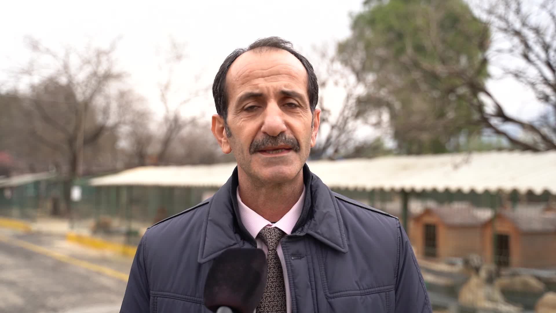 HATAY BÜYÜKŞEHİR'DEN YASAKLI IRK KÖPEKLER İÇİN ÜCRETSİZ KISIRLAŞTIRMA İMKÂNI