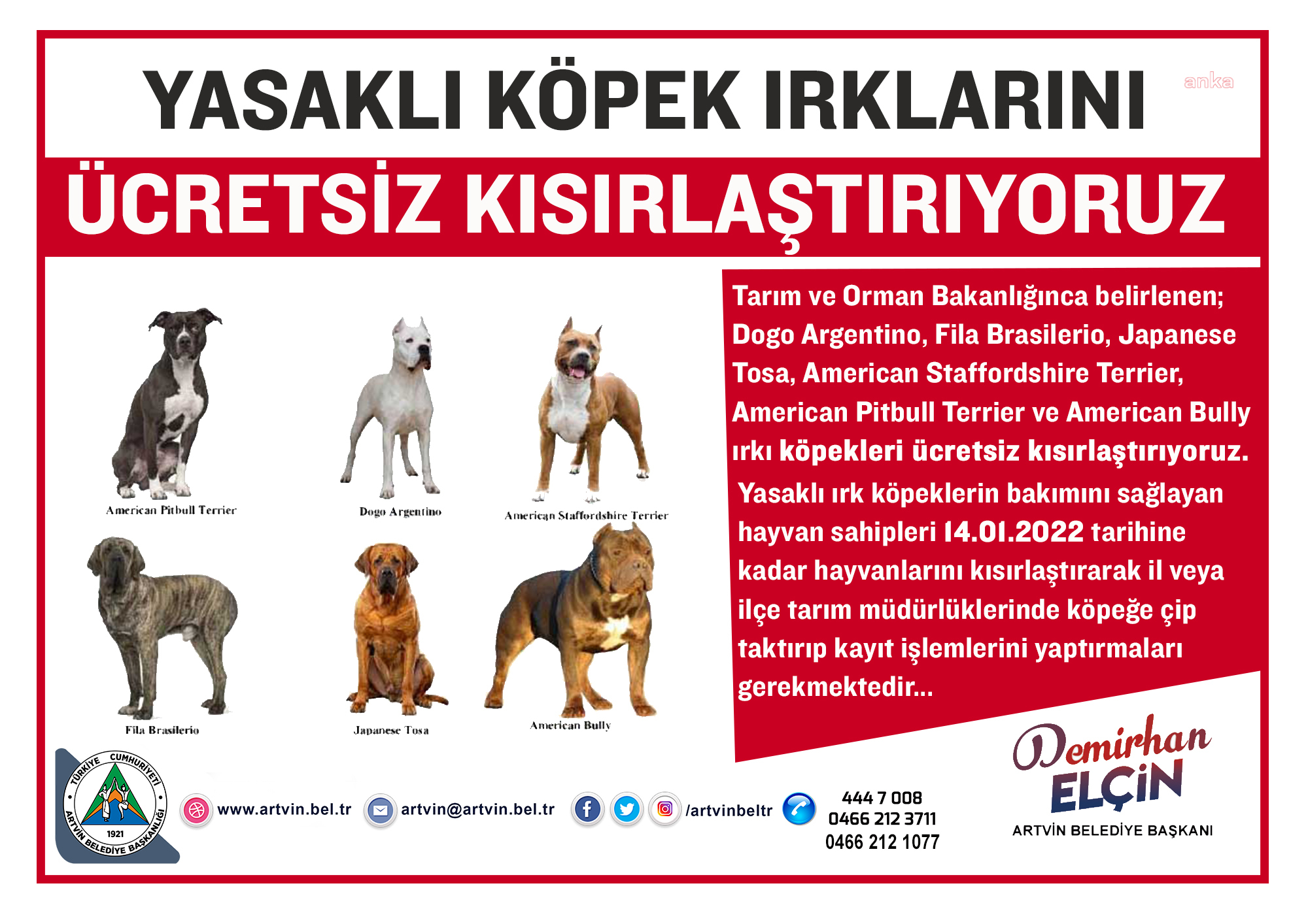 ARTVİN BELEDİYESİ'DEN YASAKLI KÖPEK IRKLARINA ÜCRETSİZ KISIRLAŞTIRMA İŞLEMİ