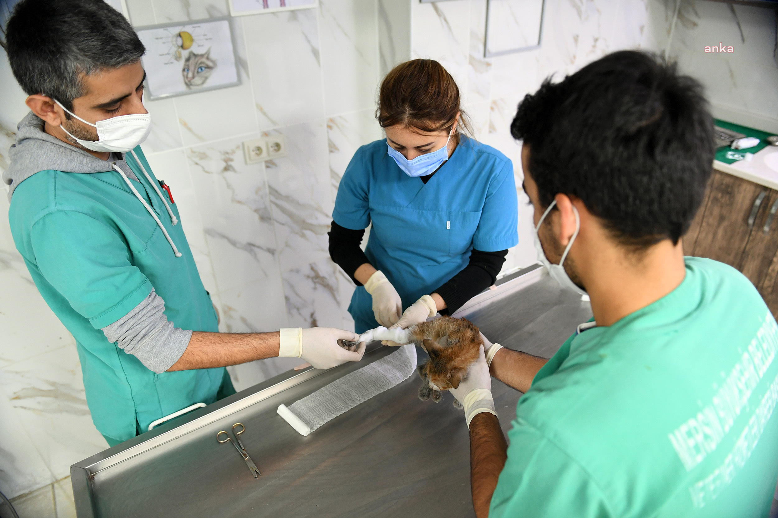 MERSİN BÜYÜKŞEHİR PERSONELİ ZEYNEP VURAL, ARABA TEKERLEĞİNE SIKIŞAN YAVRU KEDİYİ KURTARDI