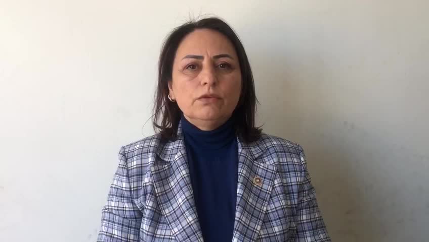 CHP'Lİ ŞEVKİN'DEN KÖLN VE NÜRNBERG'DEKİ VİZE İŞLEMLERİNİN AKP’Lİ VEKİLİN ŞİRKETİNE İHALESİZ VERİLDİĞİ İDDİASINA TEPKİ: "BU MİLLETVEKİLİ KİMDİR?"