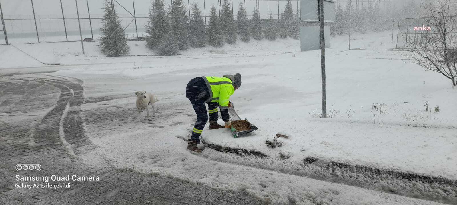 İZMİT BELEDİYESİ'NDEN KARDA YİYECEK BULMAKTA ZORLANAN SOKAK HAYVANLARI İÇİN BESLEME ÇALIŞMASI