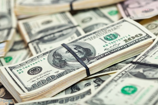 MERKEZ BANKASI BRÜT DÖVİZ REZERVLERİ 287 MİLYON DOLAR AZALDI