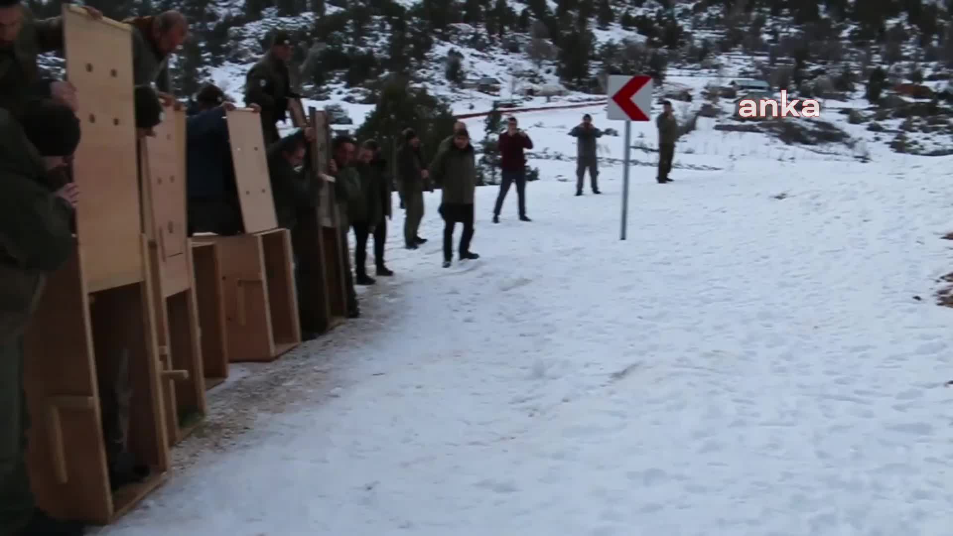 KARANLIKDERE KANYONU'NA 7 YABAN KEÇİSİ BIRAKILDI