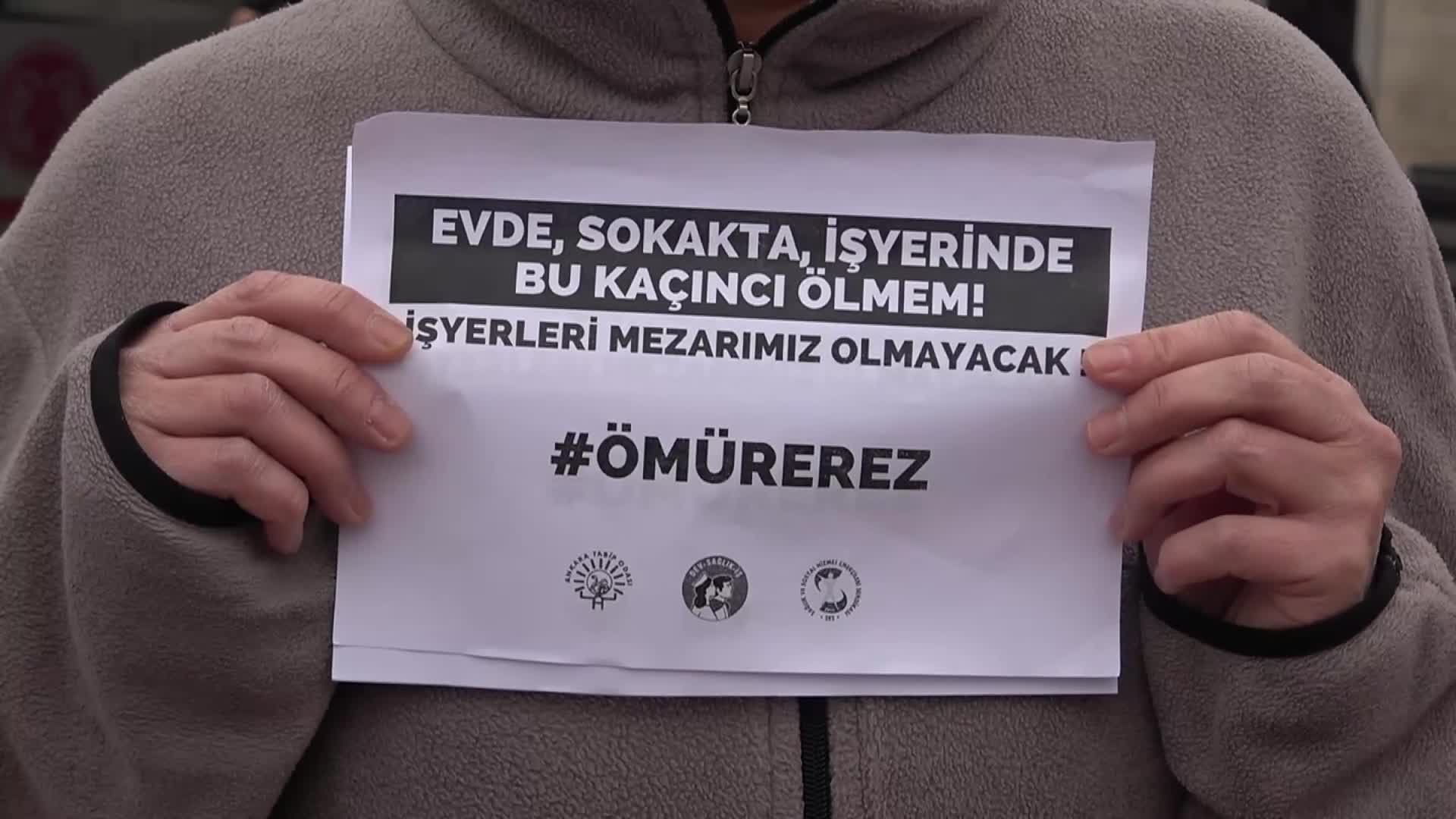 NESLİ TÜKENMEKTE OLAN SU SAMURU SİNOP’TA GÖRÜNTÜLENDİ