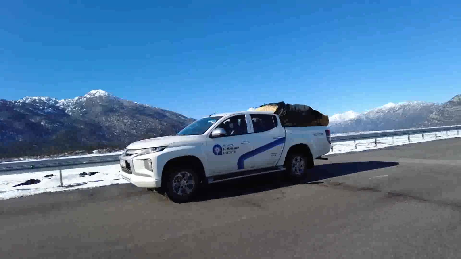 ANTALYA BÜYÜKŞEHİR YILKI ATLARINI AÇ BIRAKMADI