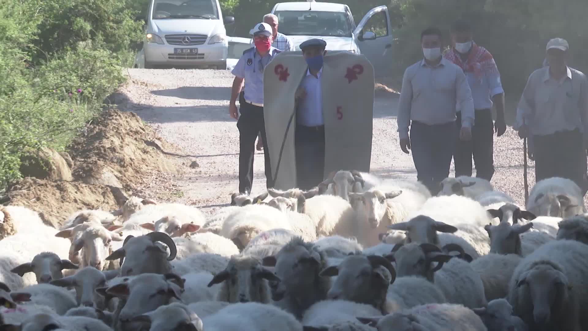 TUNÇ SOYER KEPENEK GİYDİ MERAYA HAYVAN SALIMI PROGRAMINA KATILDI