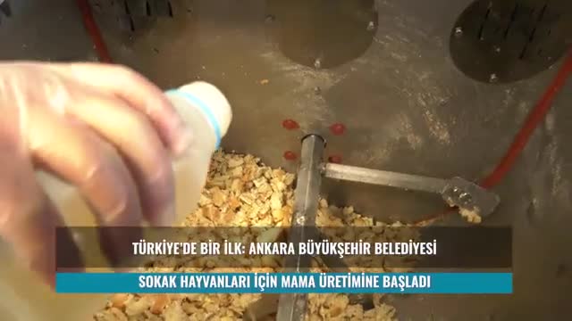MANSUR YAVAŞ: “SOKAKTAKİ DOSTLARIMIZ İÇİN HİJYENİK VE SAĞLIKLI MAMA ÜRETMEYE BAŞLADIK”