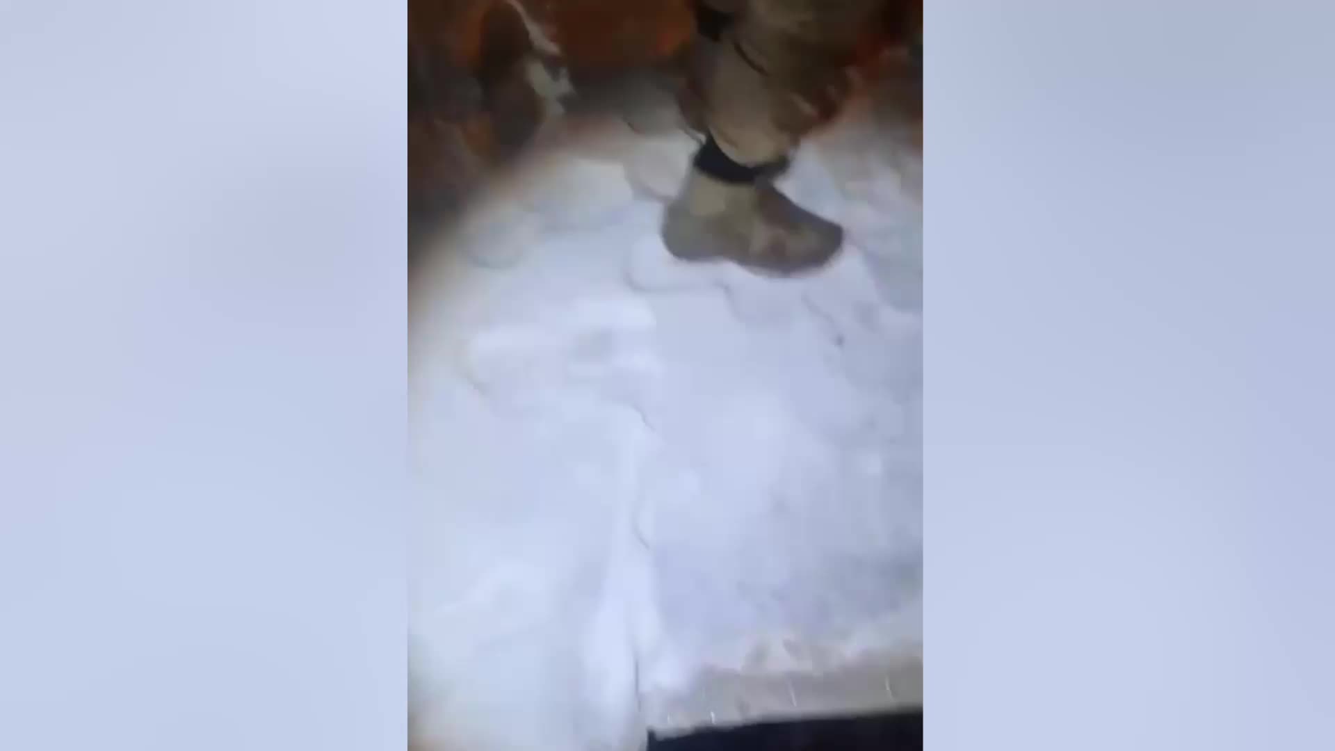 VAN’DA KAMYON KASASINDA 174 DÜZENSİZ GÖÇMEN YAKALANDI