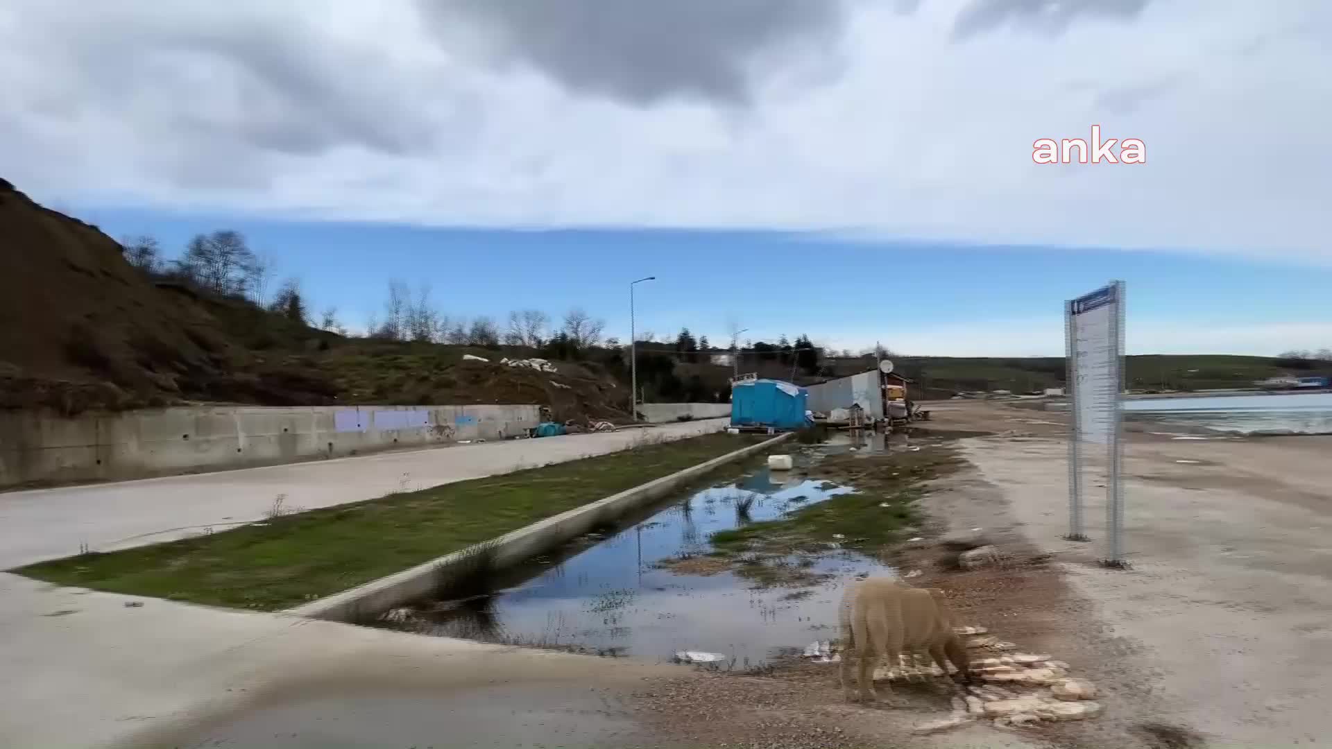 CHP’Lİ KARADENİZ, BALIKÇI BARINAĞINDA: “ANKARA'DA, MASA BAŞINDA OTURARAK BALIKÇININ DERDİ ÇÖZÜLMEZ”