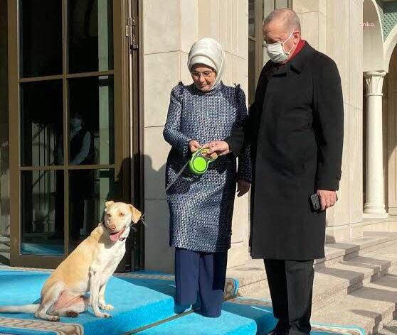 SAĞLIK BAKANI KOCA’DAN ERDOĞAN AÇIKLAMASI: “SAĞLIK DURUMLARI ÇALIŞMALARINI AKSATMAYACAK KADAR İYİ”