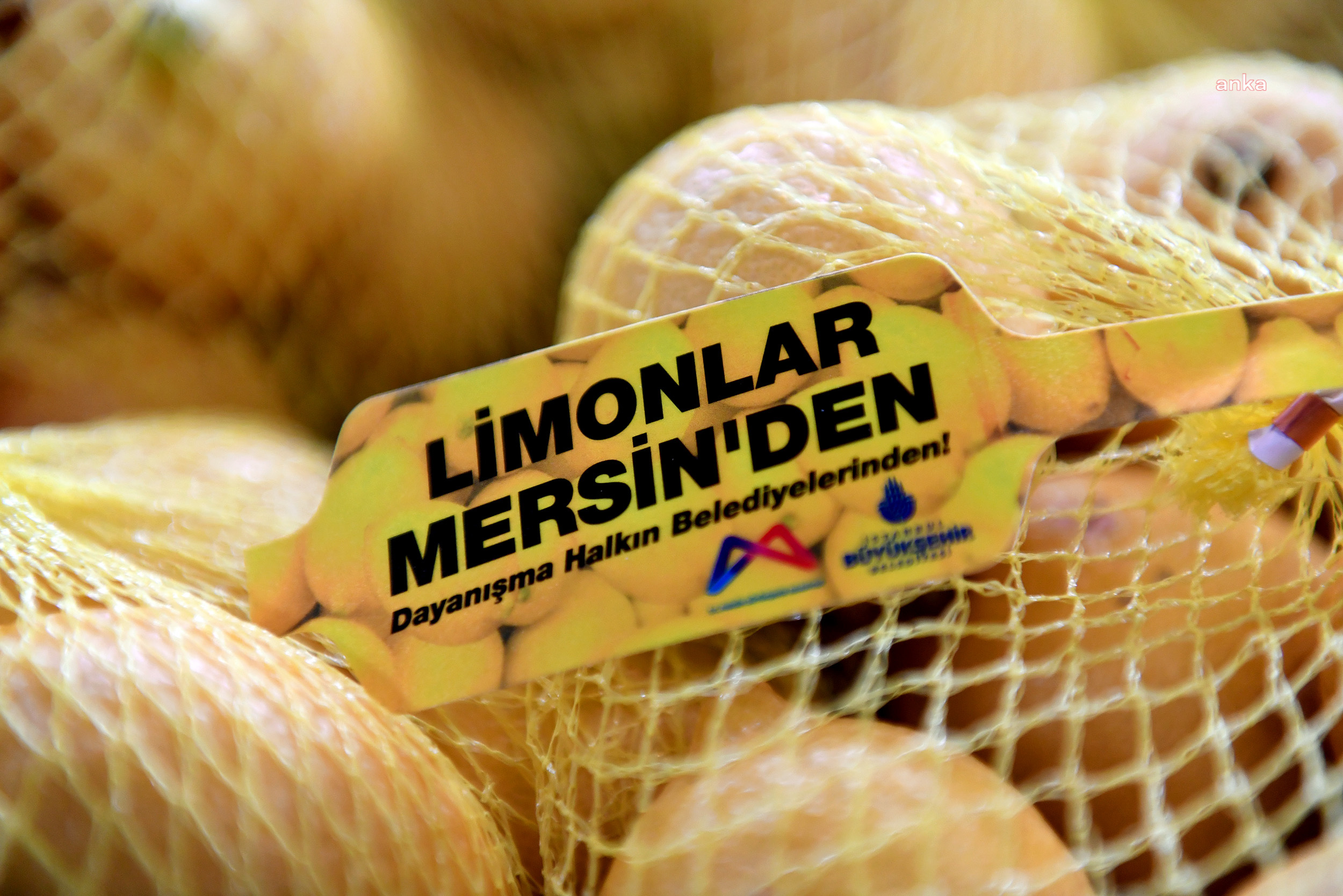 LİMONLAR DALDA KALMADI, 4 BÜYÜKŞEHİR İÇİN MERSİN’DEN YOLA ÇIKTI