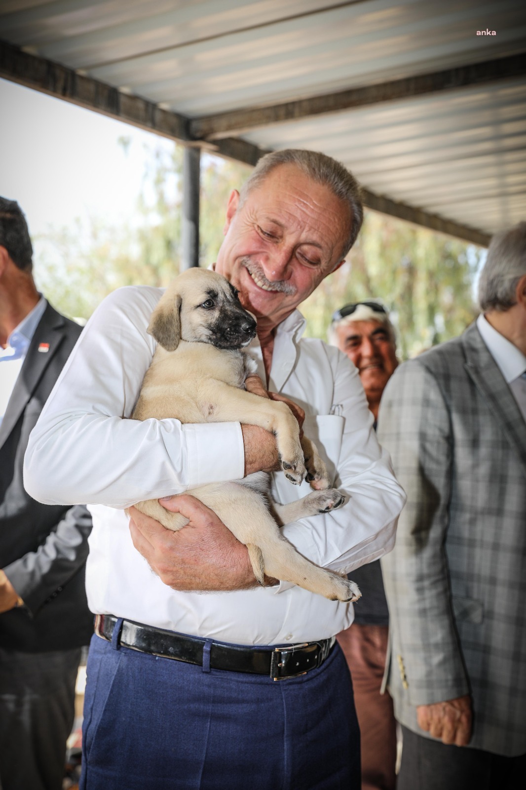 DİDİM BELEDİYE BAŞKANI ATABAY SOKAK HAYVANLARINA YÖNELİK YENİ PROJESİNİ DUYURDU