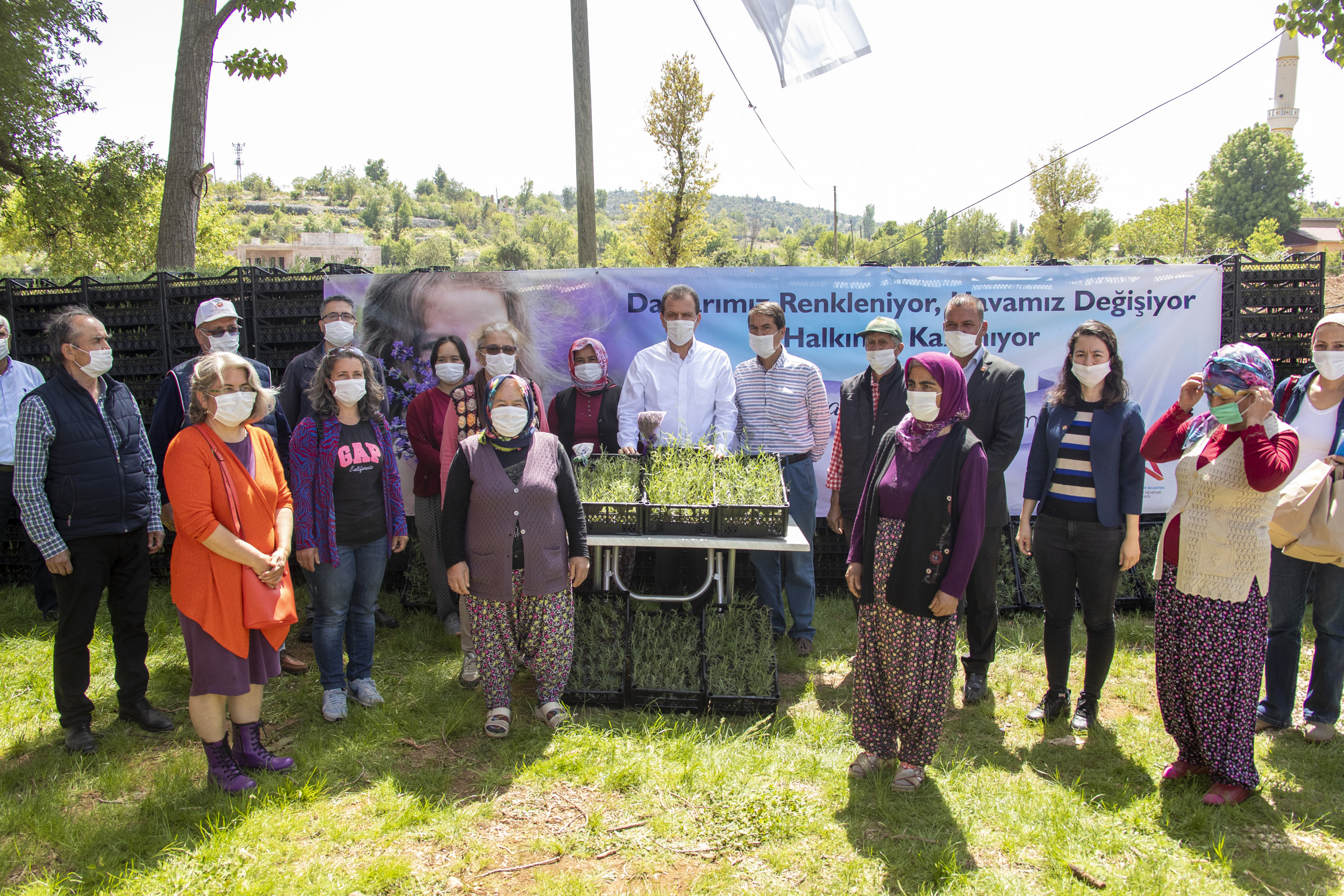 MERSİN BÜYÜKŞEHİR, 100 BİN LAVANTA FİDESİ DAĞITIMINI TAMAMLADI