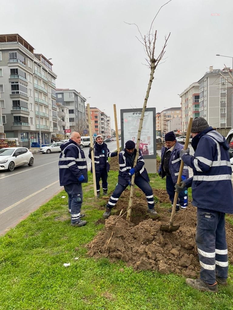 TEKİRDAĞ BÜYÜKŞEHİR, AĞAÇLANDIRMA VE PEYZAJ ÇALIŞMALARINI SÜRDÜRÜYOR
