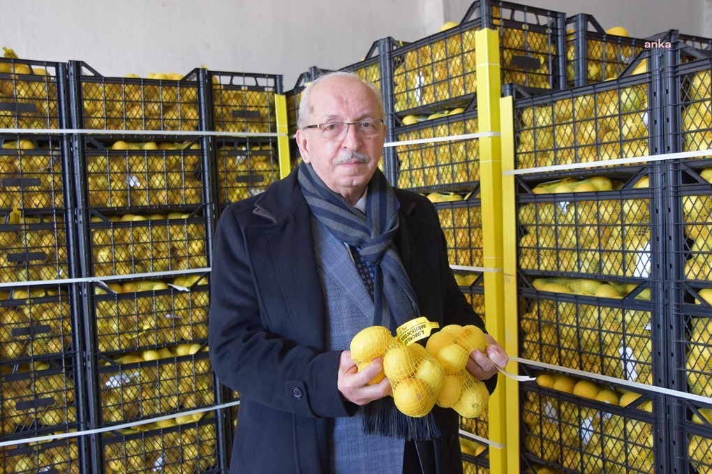 TEKİRDAĞ BÜYÜKŞEHİR, MERSİNLİ LİMON ÜRETİCİLERİNDEN ALINAN LİMONLARI, İHTİYAÇ SAHİPLERİNE DAĞITIYOR