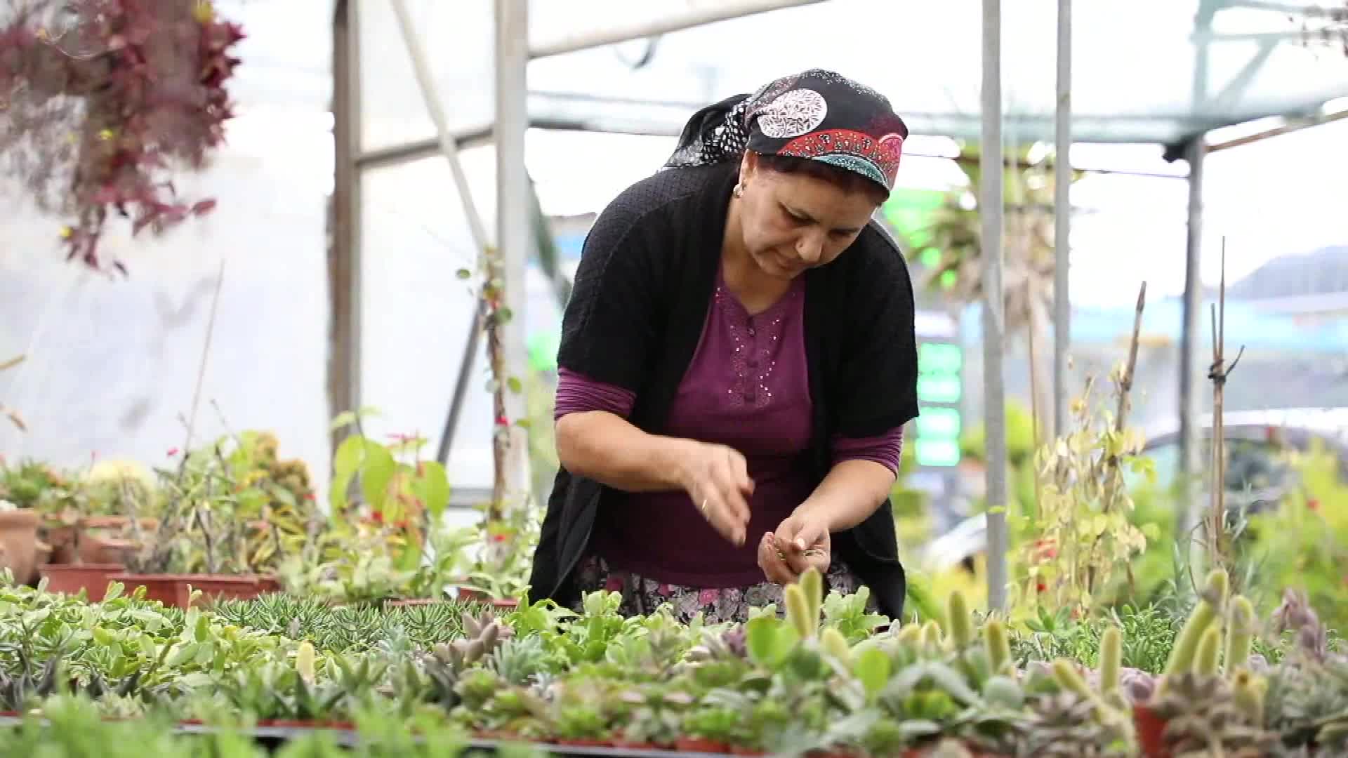 MUĞLA’DA ÜRETİLİP 25 ŞEHRE PAZARLANIYOR