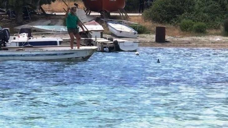 BODRUM'DA MIZRAKLI VAHŞET