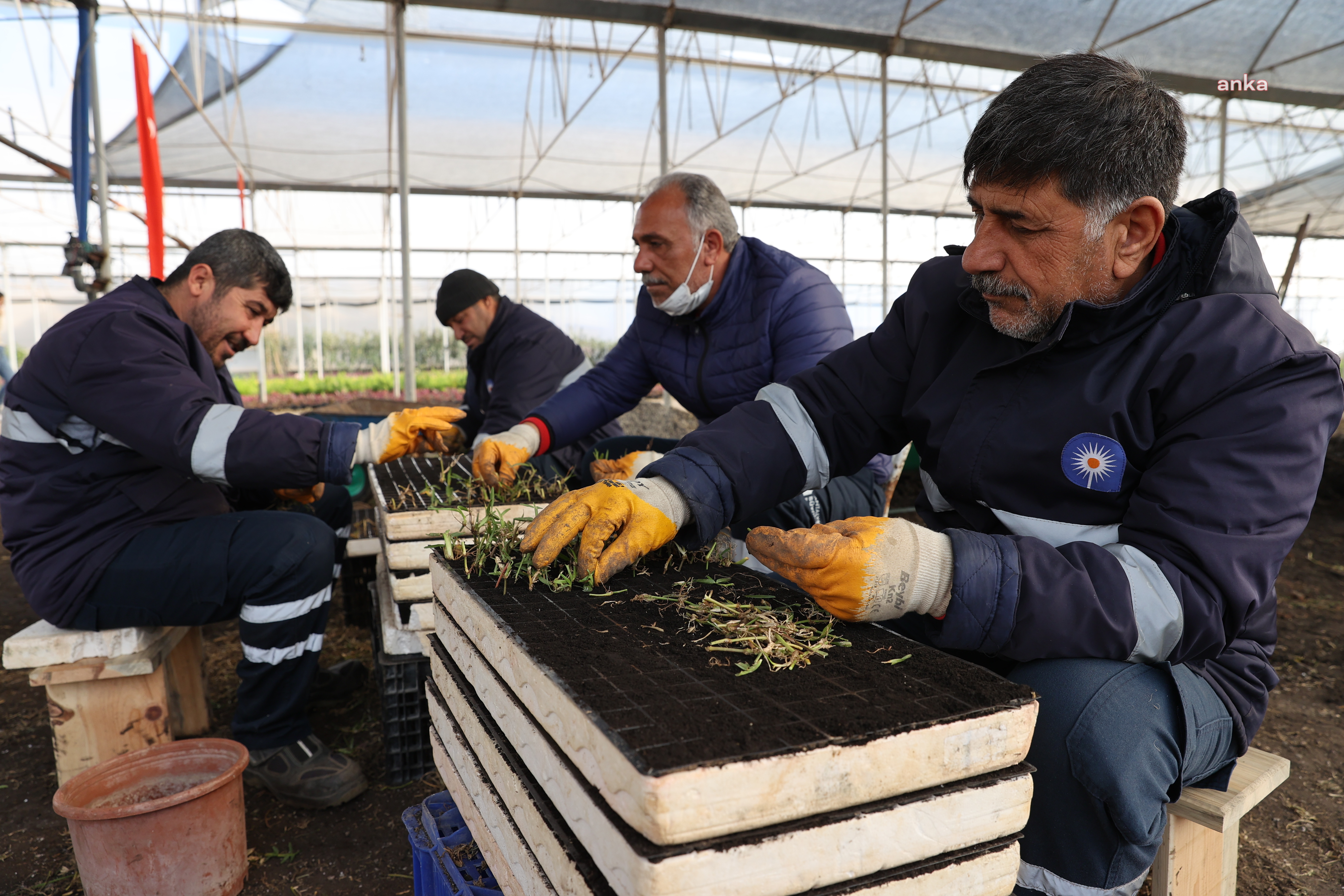 ANTALYA BÜYÜKŞEHİR BELEDİYESİ, BİTKİ ÜRETİMİNDEN 6 MİLYON LİRA TASARRUF ETTİ