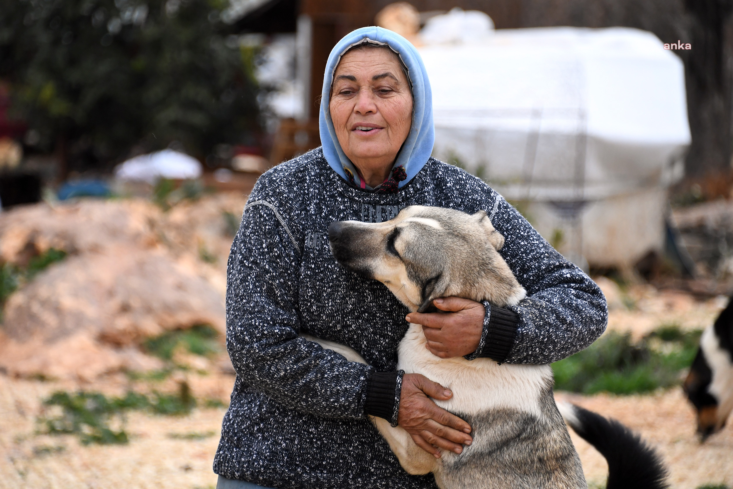 MERSİN BÜYÜKŞEHİR’LE GÖNÜLLÜ HAYVANSEVERLER EL ELE