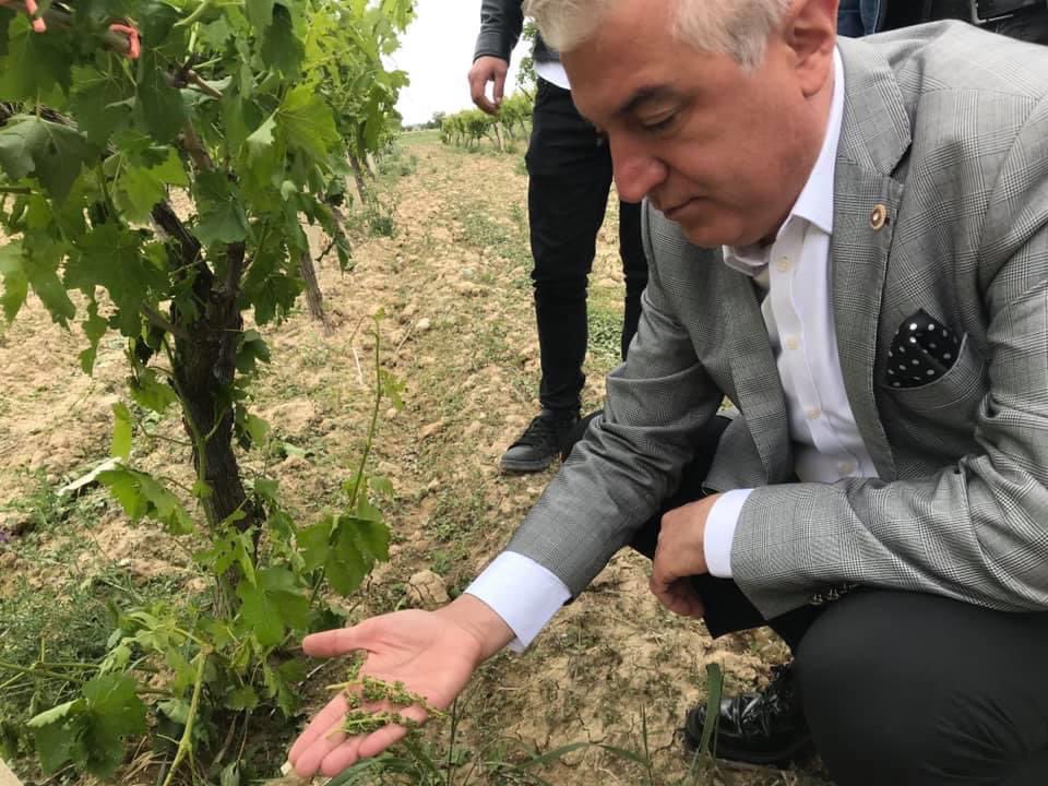 CHP’Lİ SANCAR: DENİZLİLİ ÇİFTÇİNİN ZARARI GİDERİLMELİ
