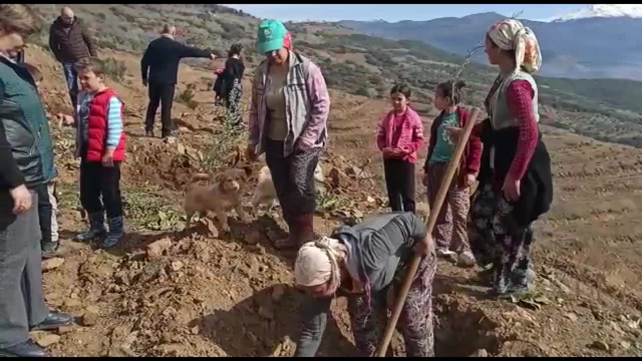 KÖSELER KÖYLÜLERİ: "DAĞLARIMIZDA MADEN DEĞİL İNCİR, KESTANE İSTİYORUZ"
