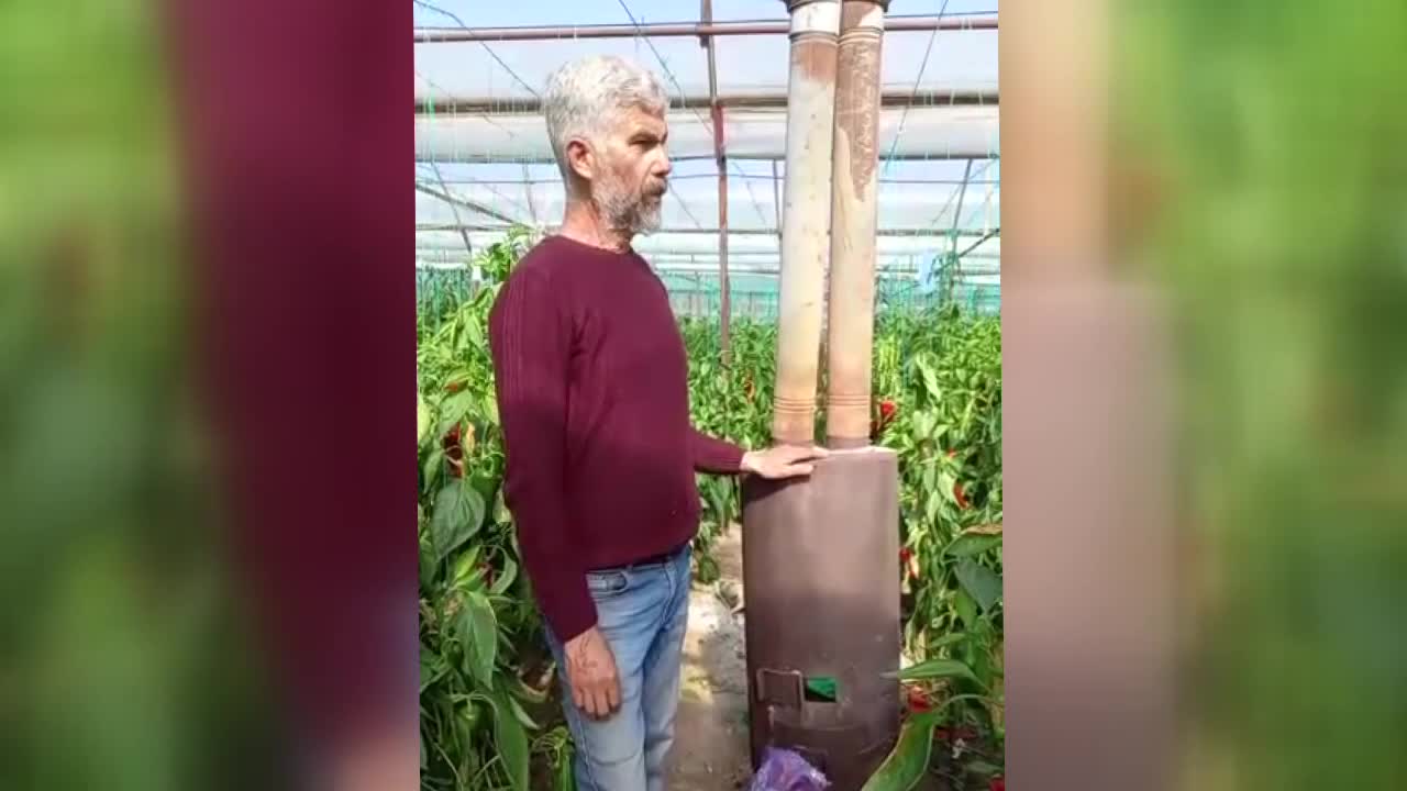 ANTALYA'DA SERACILIK YAPAN MEHMET YILDIRIM: "BU YIL 23 BİN 500 LİRA FİDE PARASI VERDİK"