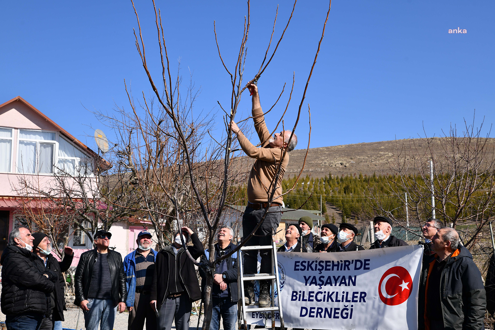 TEPEBAŞI BELEDİYESİ'NİN BUDAMA EĞİTİMLERİ SÜRÜYOR