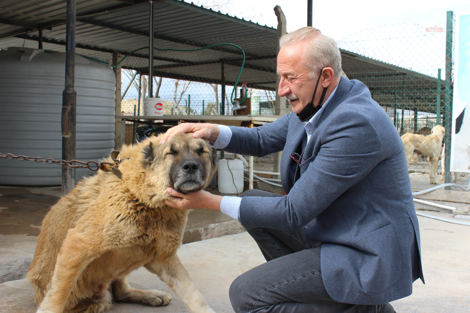 DİDİM BELEDİYE BAŞKANI ATABAY'DAN SOKAK HAYVANLARI İÇİN YENİ PROJE