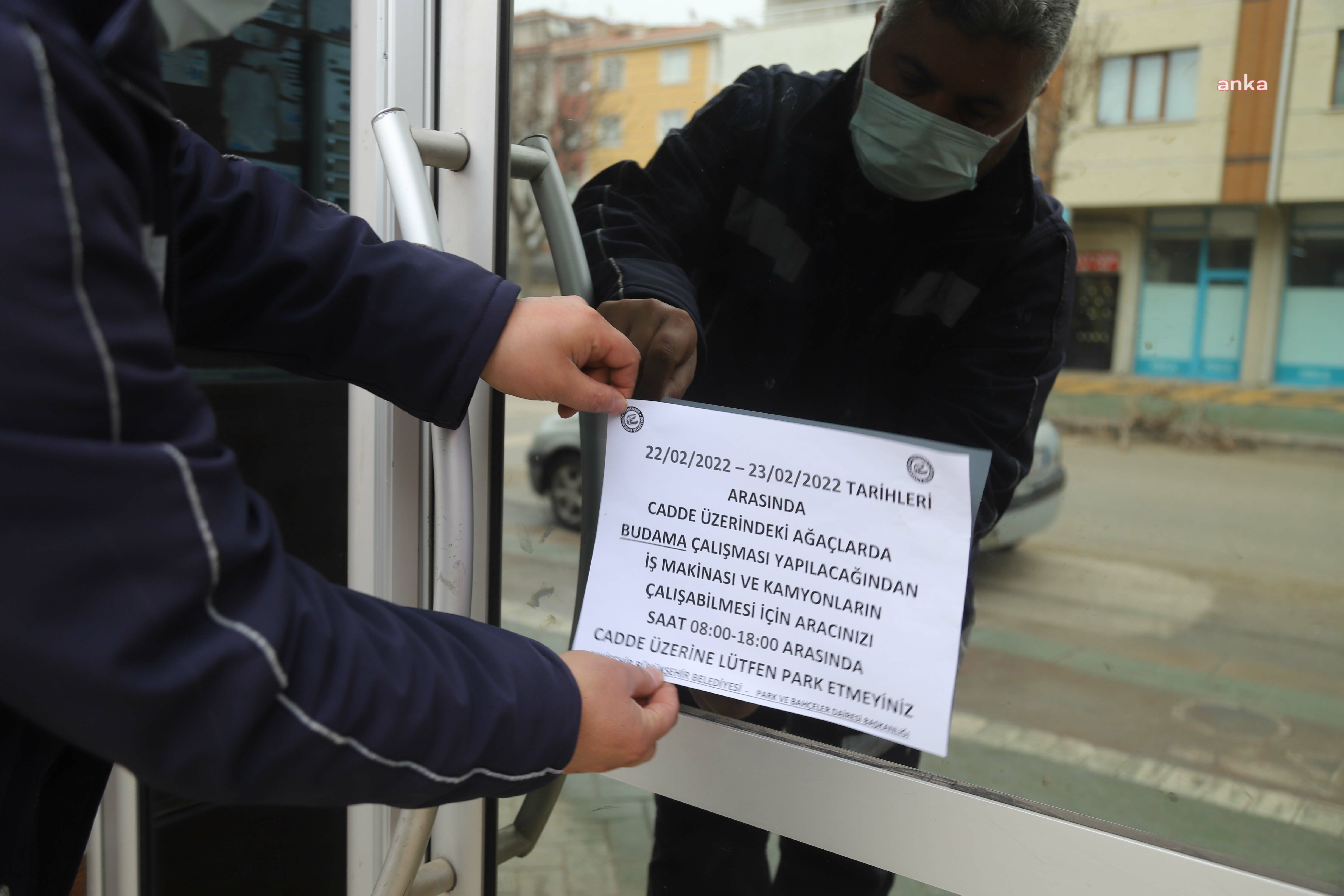 ESKİŞEHİR BÜYÜKŞEHİR AĞAÇLARDA BUDAMA ÇALIŞMALARINA BAŞLADI