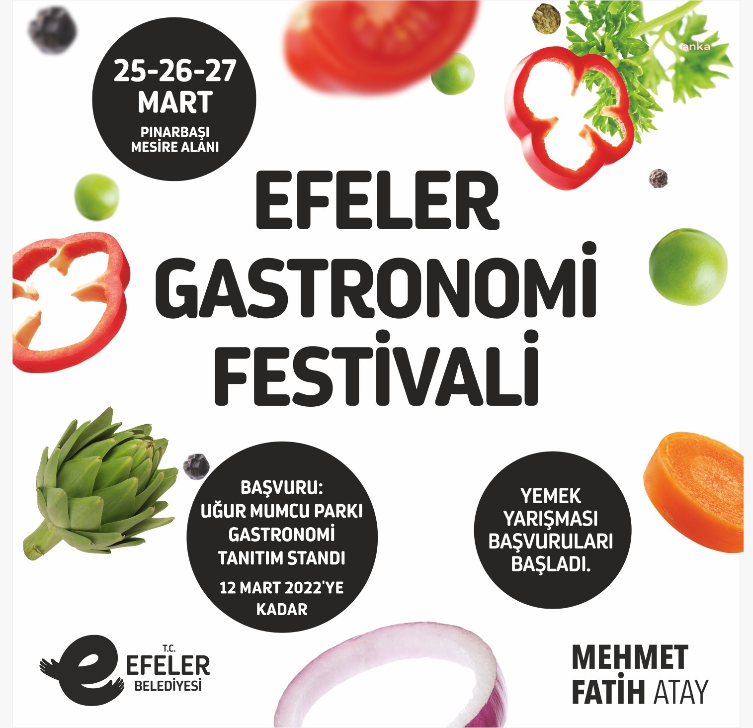 EFELER GASTRONOMİ FESTİVALİ İÇİN BAŞVURULAR BAŞLADI