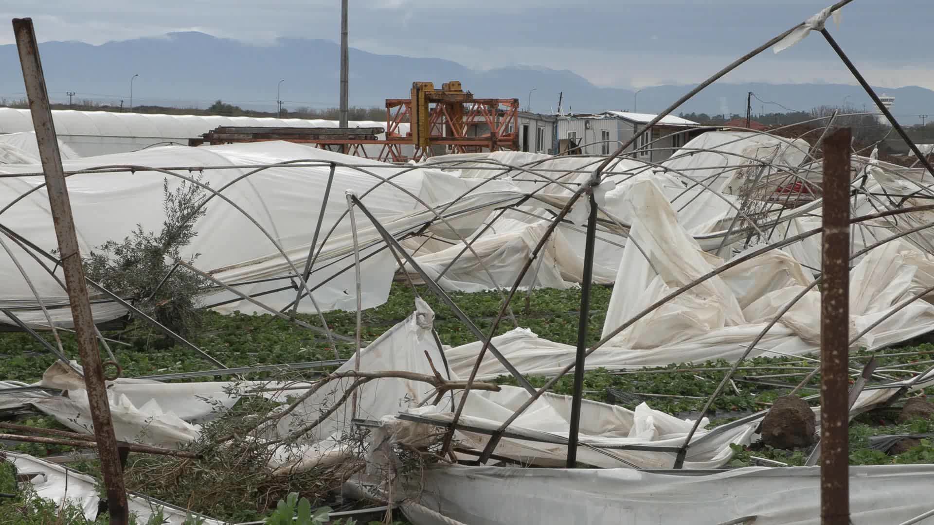 MURATPAŞA BELEDİYE BAŞKANI UYSAL, HORTUMUN VURDUĞU SERALARI İNCELEDİ