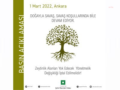 ŞEHİR PLANCILARI ODASI ZEYTİNLİKLERİ MADENE AÇAN YÖNETMELİĞE DAVA AÇACAK
