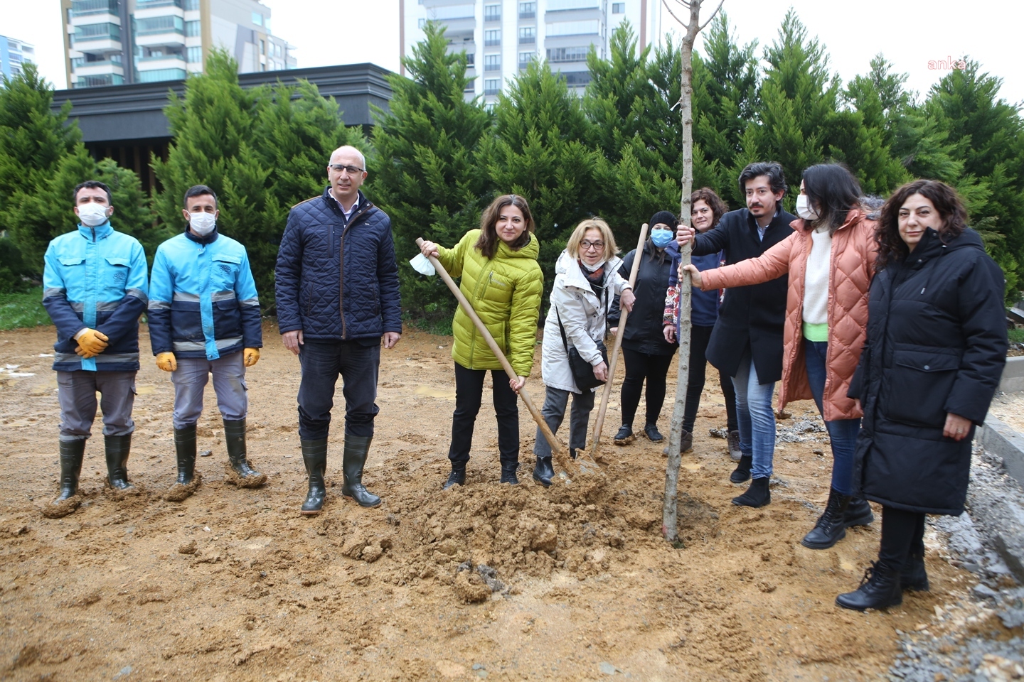 NİLÜFER'DE KADINLAR GÜNÜNDE FİDAN DİKİMİ