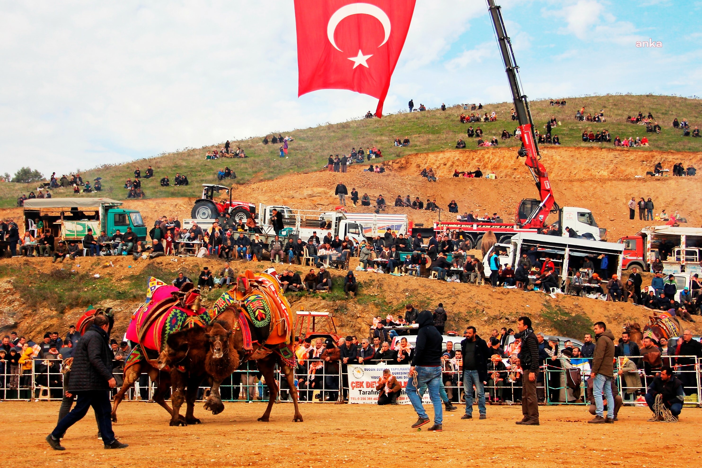 ÖDEMİŞ’TE PAZAR GÜNÜ GELENEKSEL DEVE GÜREŞLERİ YAPILACAK