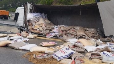 FETHİYE'DE BUĞDAY YÜKLÜ TIR ŞARAMPOLE DEVRİLDİ; 1 YARALI