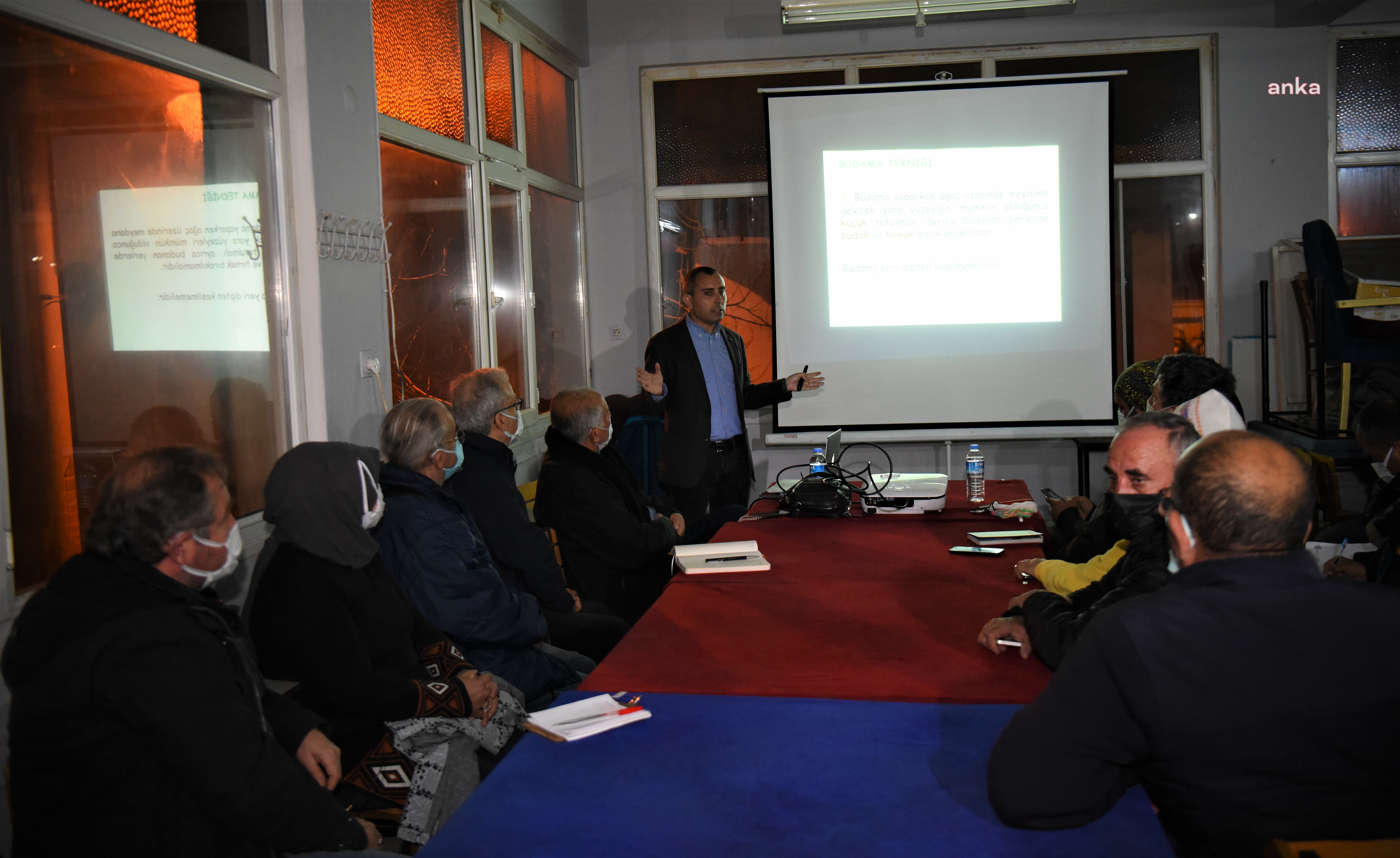 BORNOVA'DA ZEYTİN BUDAMA EĞİTİMİ