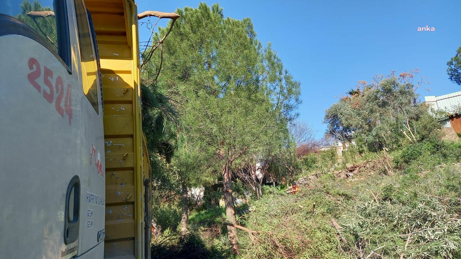 BİTEZ'DEKİ HAZİNE ARAZİSİ YAPILAŞMAYA AÇILDI. BODRUM BELEDİYE BAŞKANI ARAS: “PLAN DEĞİŞİKLİĞİNİ İPTAL EDECEKLER AMA İŞ İŞTEN GEÇMİŞ OLACAK”