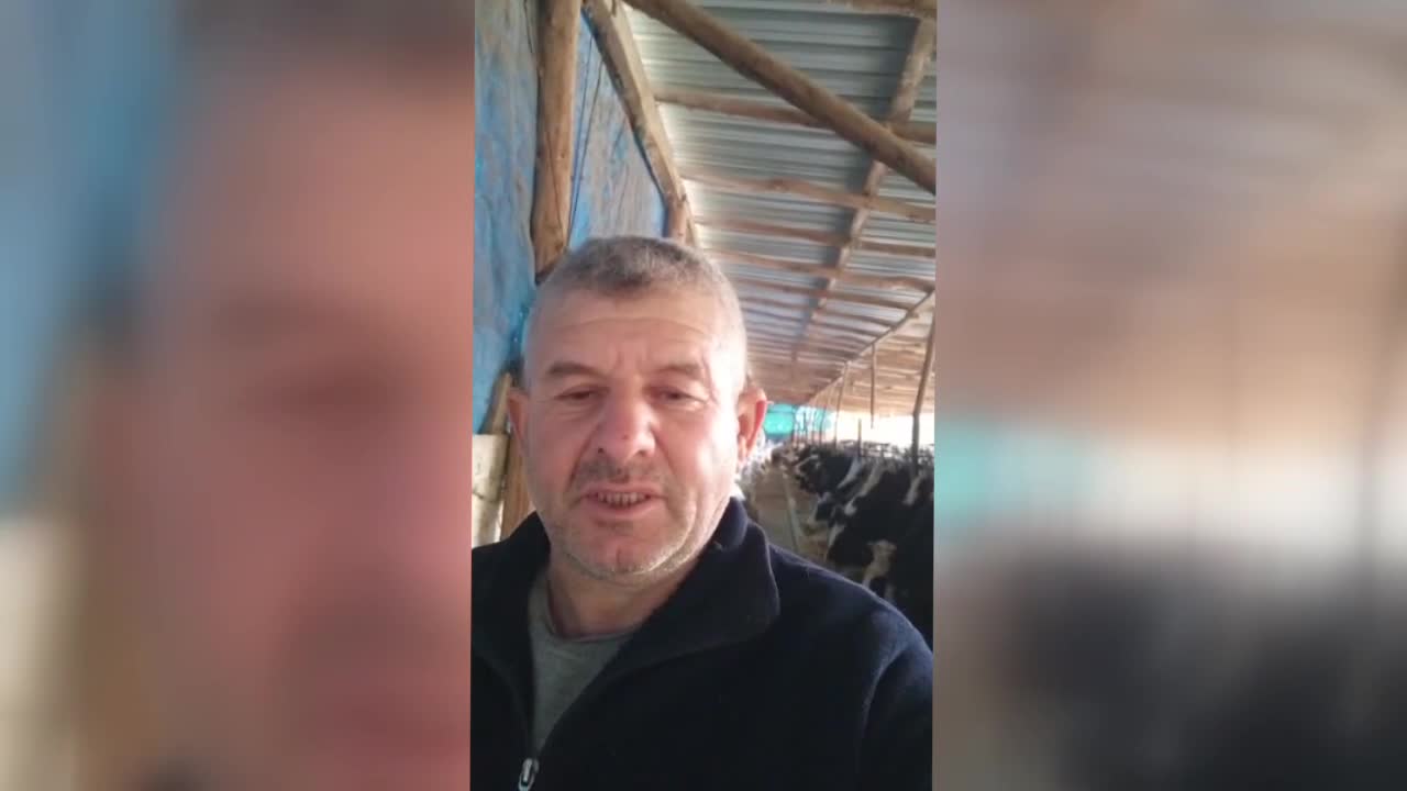 KONSEYDEN "FİYAT AÇIKLAMASI" BEKLEYEN SÜT ÜRETİCİLERİ: “BU ŞARTLAR ALTINDA HAYVANCILIK YÜRÜMÜYOR”