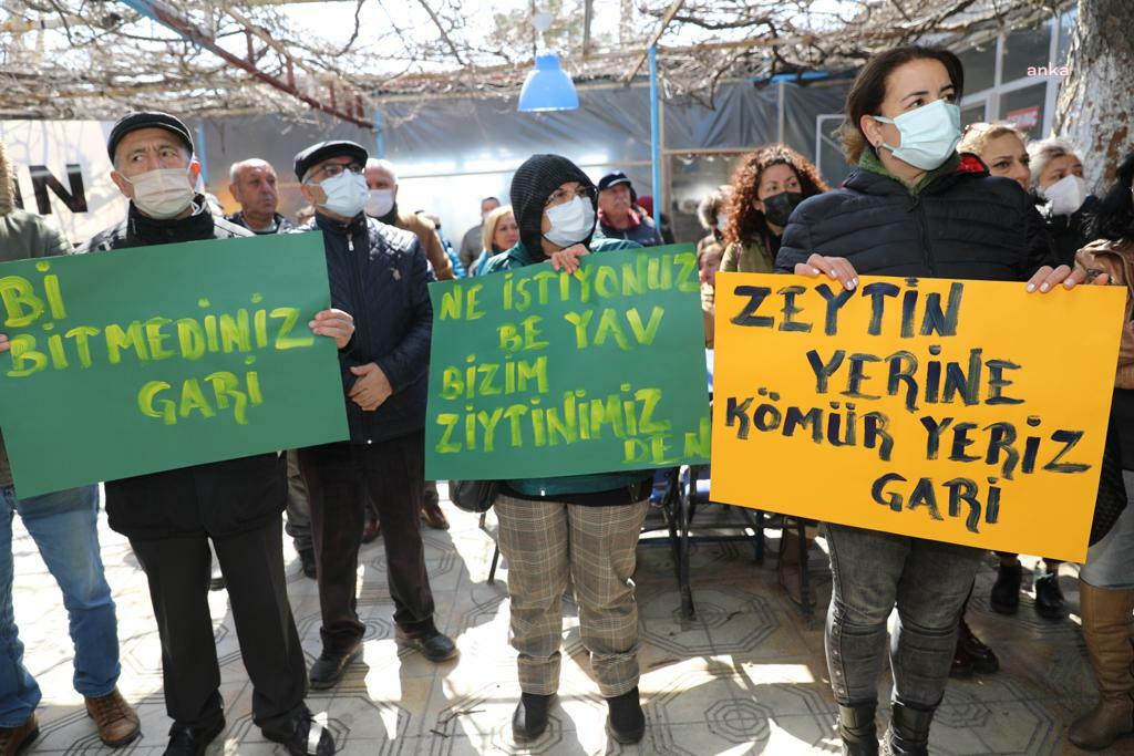 DİDİM BELEDİYE BAŞKANI ATABAY: ZEYTİN AĞAÇLARI BİZİM TOPRAKLARIMIZIN HAZİNELERİDİR