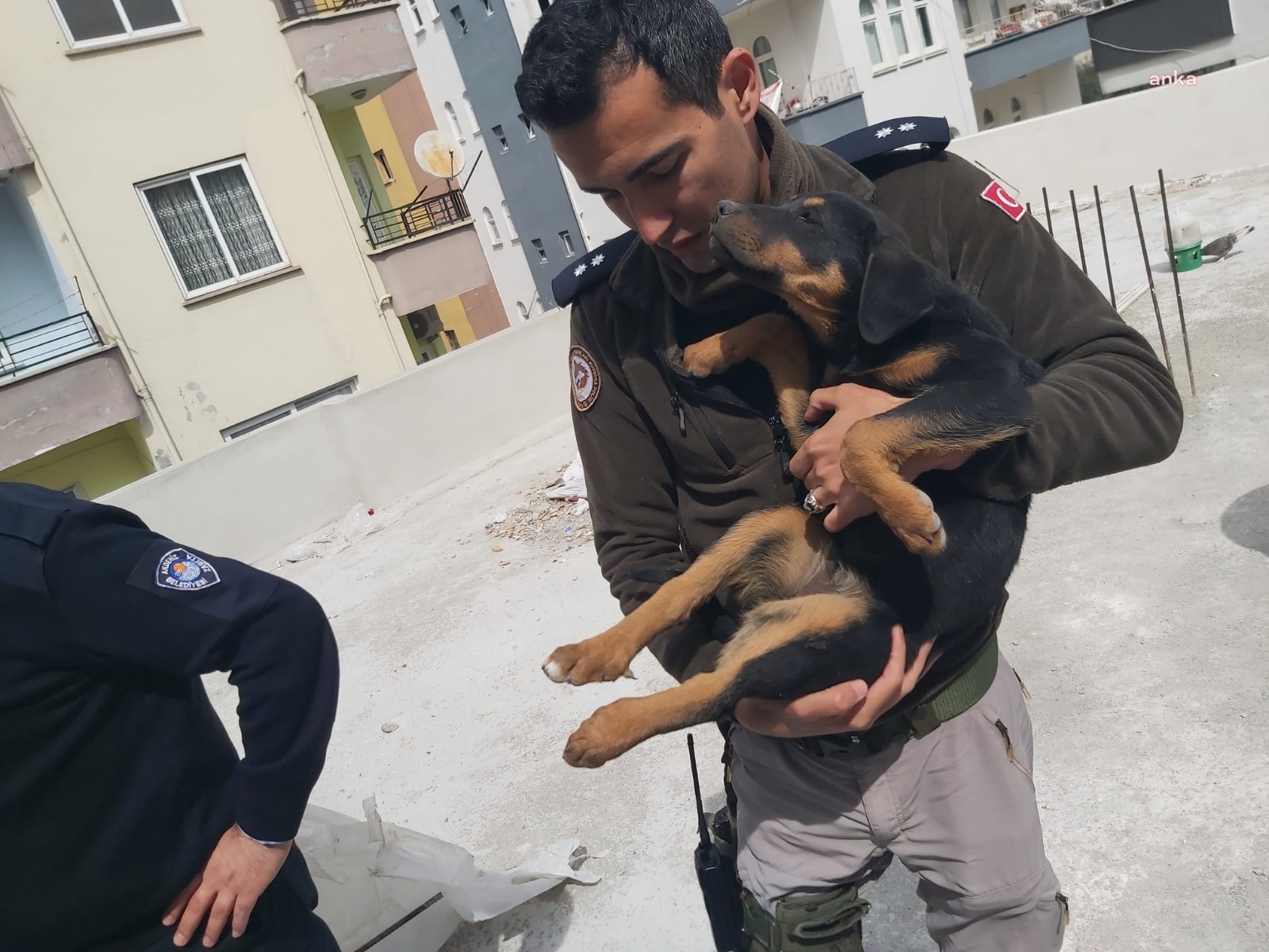 ŞİDDET GÖREN KÖPEĞİ MERSİN POLİSİ SAHİPLENDİ