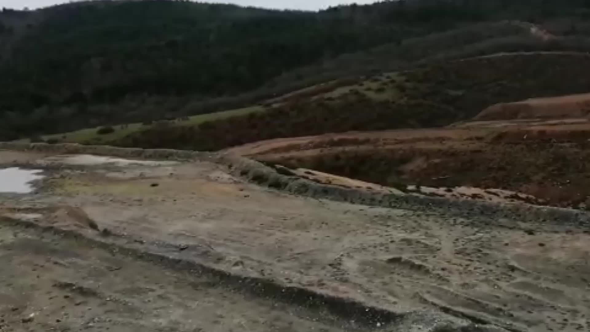 KAZDAĞLARI’NDA ALTIN MADENİ ŞİRKETİNİN TERK ETTİĞİ BÖLGEDE AĞAÇ DİKİMİ YAPILDI