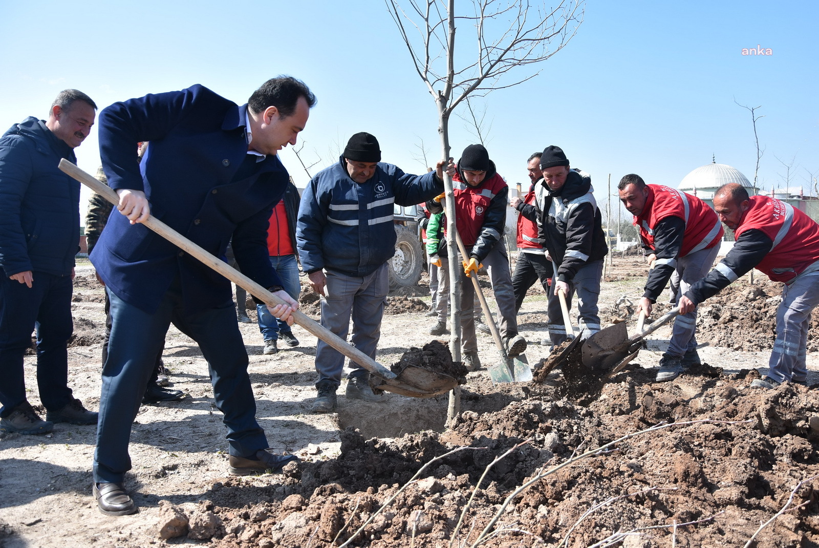 AKHİSAR’DA AĞAÇ BAYRAMI’NDA FİDANLAR TOPRAKLA BULUŞTURULDU