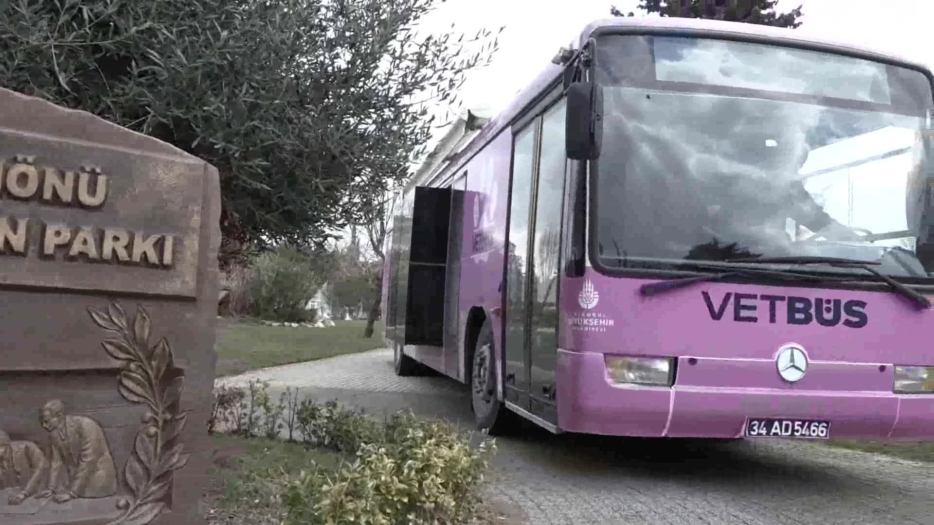 BÜYÜKÇEKMECE'DE SOKAK HAYVANLARINA SAĞLIK TARAMASI